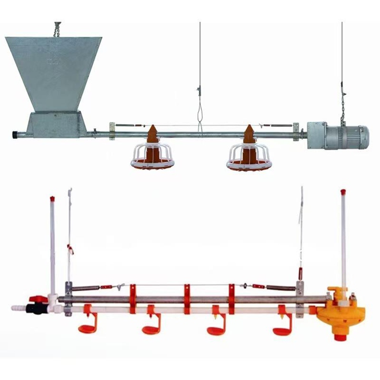Integrated Automatic Poultry Feeding and Watering Line System
