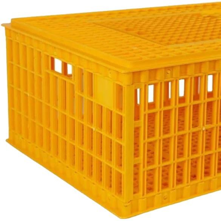 75x55x27cm Multi-Species Live Poultry Transport Crate