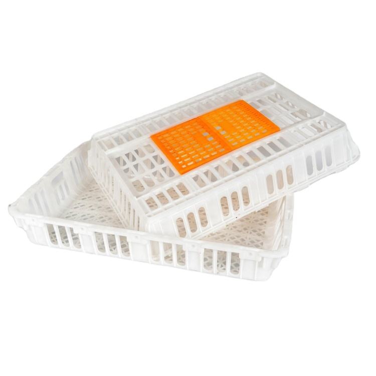 750x550x270mm Poultry Transport Crate (12 Chicks Capacity)