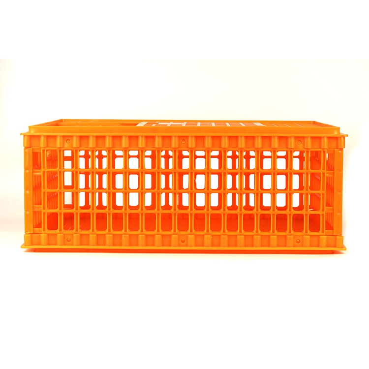 Heavy-Duty Stackable PP Poultry Transport Crate (8-15 Capacity)