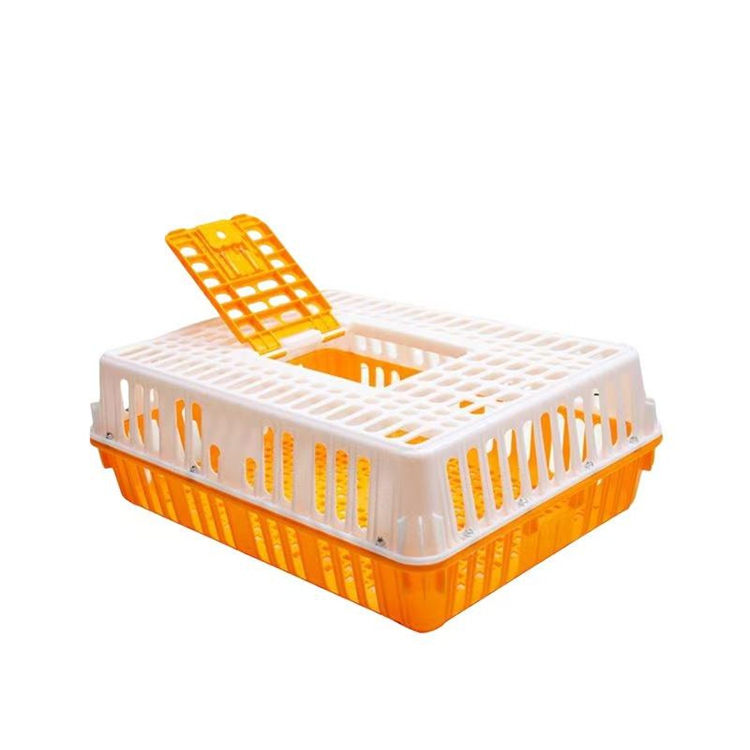 Dual-Tone Plastic Poultry Transport Crate with Top-Loading Door
