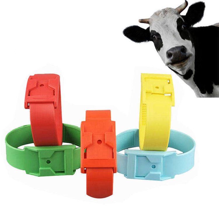 Colorful TPU Livestock Identification Bands