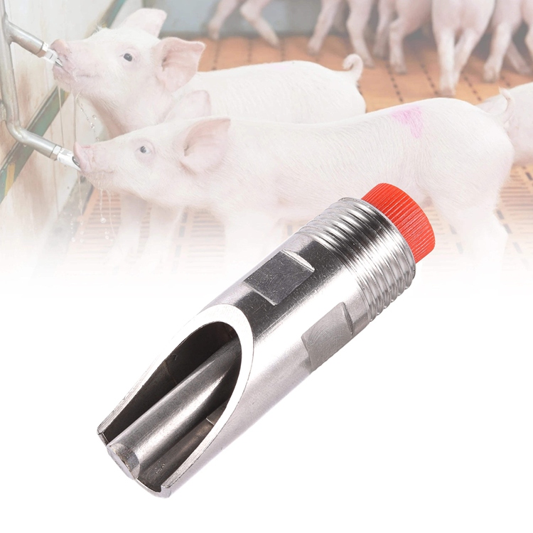 Stainless Steel Automatic Pig Nipple Drinker