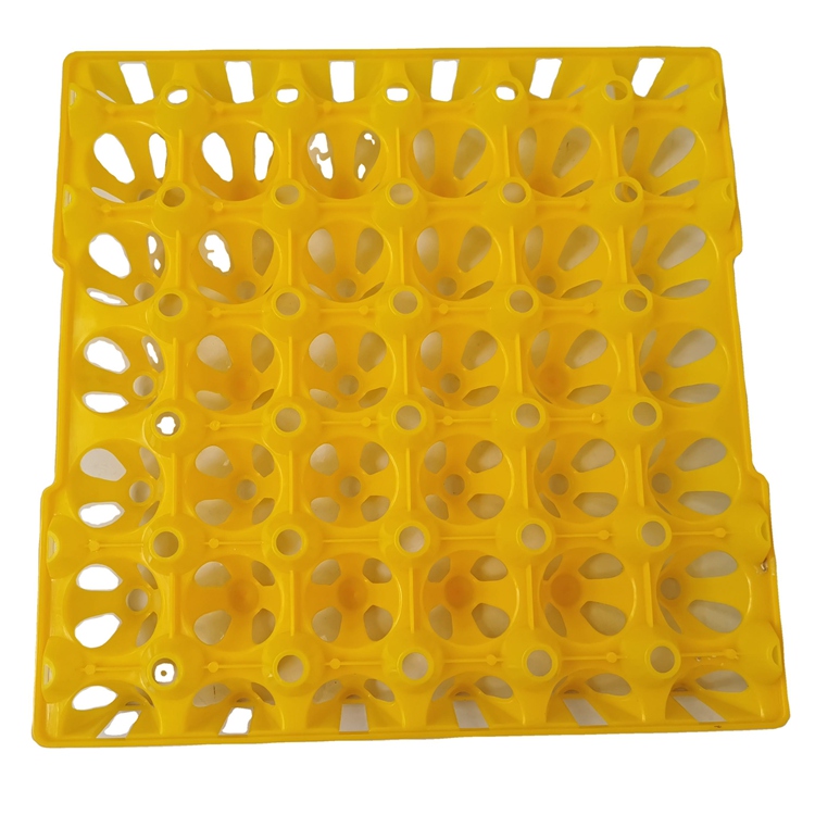 30-Cavity Virgin Plastic Egg Tray