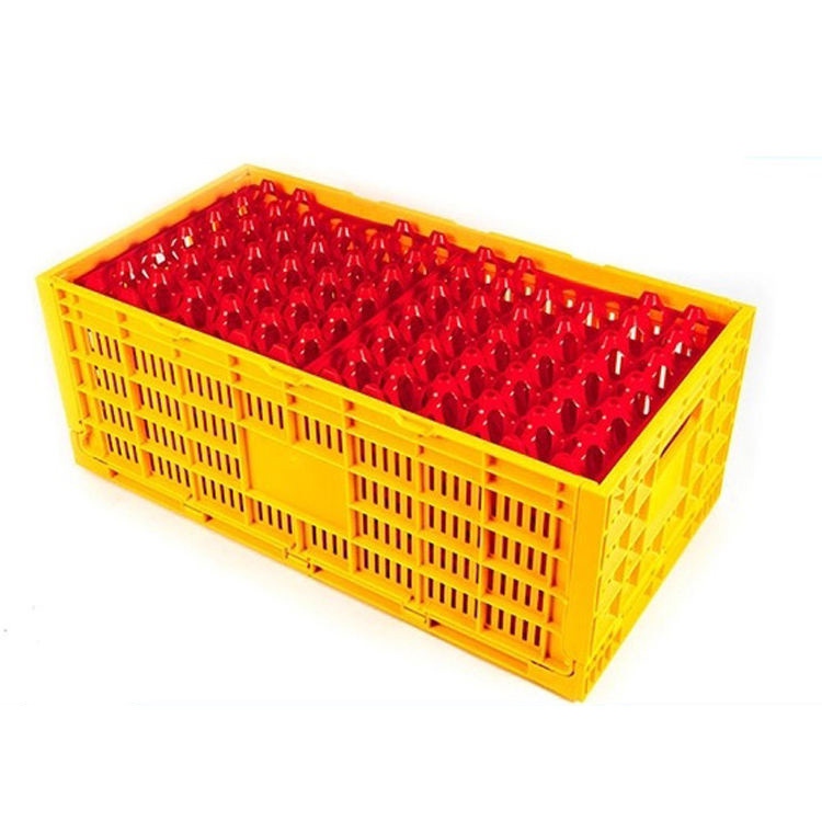 Collapsible PP Plastic Egg Transport Crate (300 Egg Capacity)