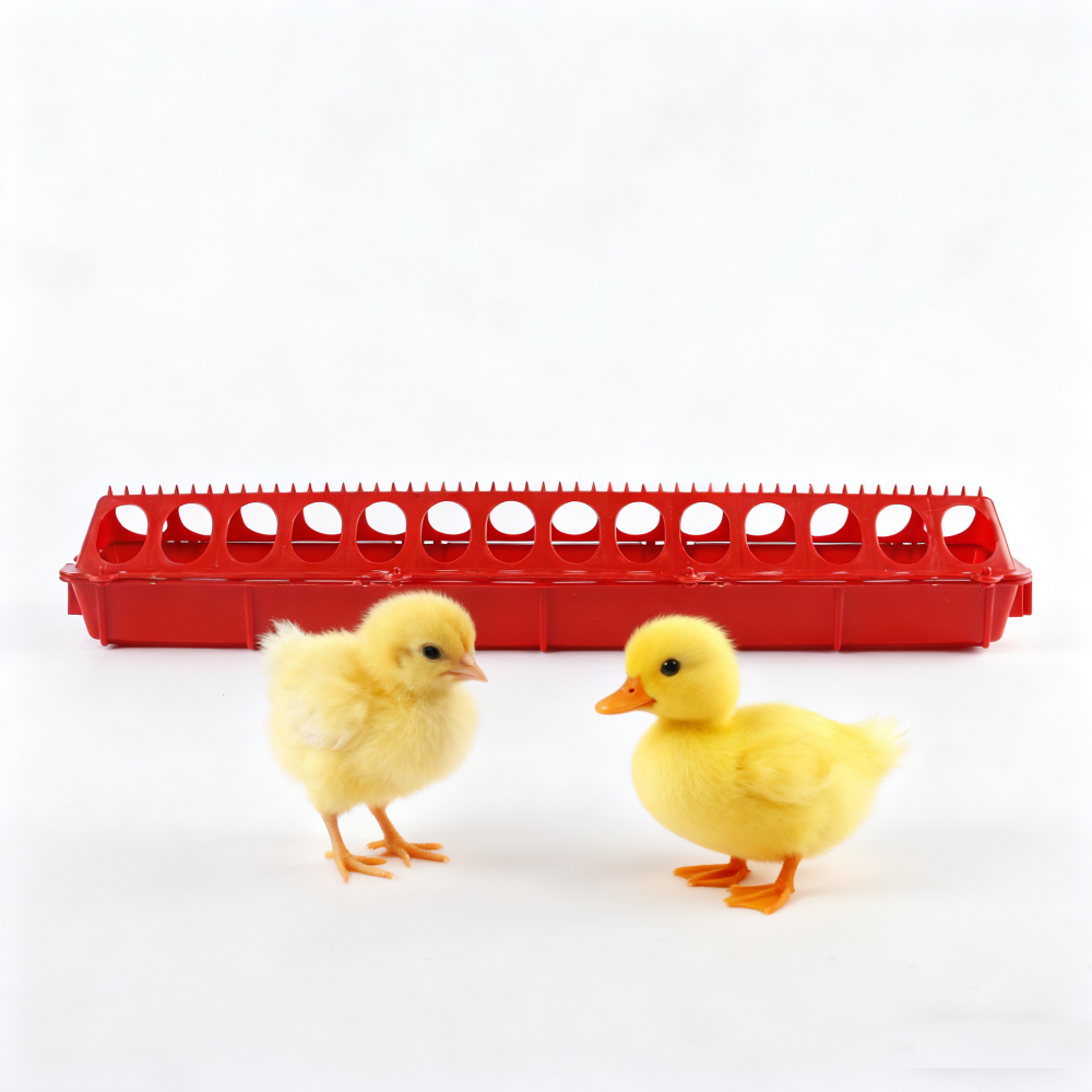 Upgrade Scheme and Technical Improvement of Poultry Feeder Drinker