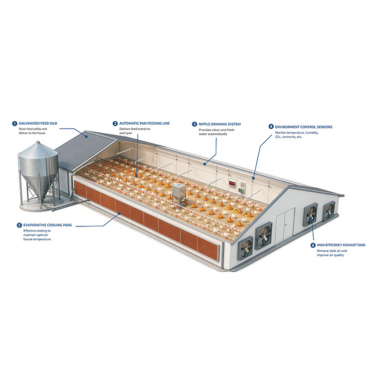 Automatic Pan Feeding & Nipple Drinking System (Floor Raising)